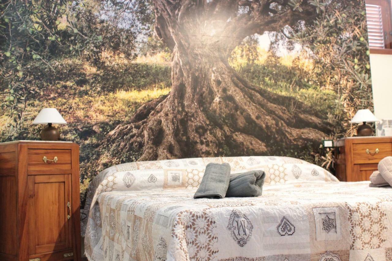 Adonis Hotel Castelvecchio Calvisio Ngoại thất bức ảnh